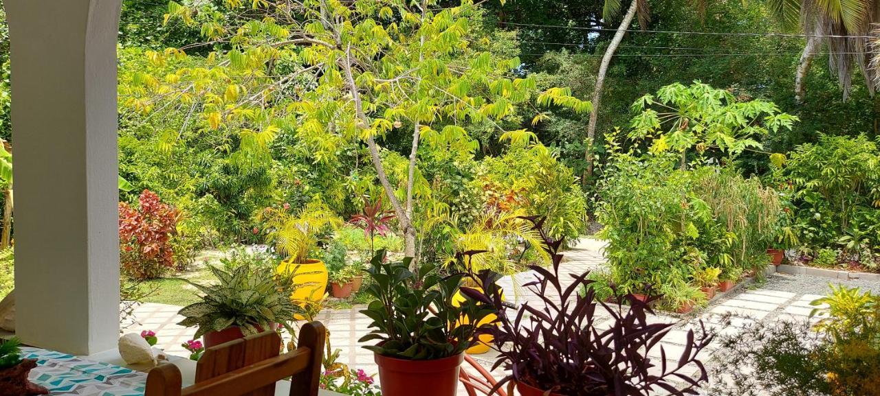 Chez Mera Self Catering La Digue Εξωτερικό φωτογραφία